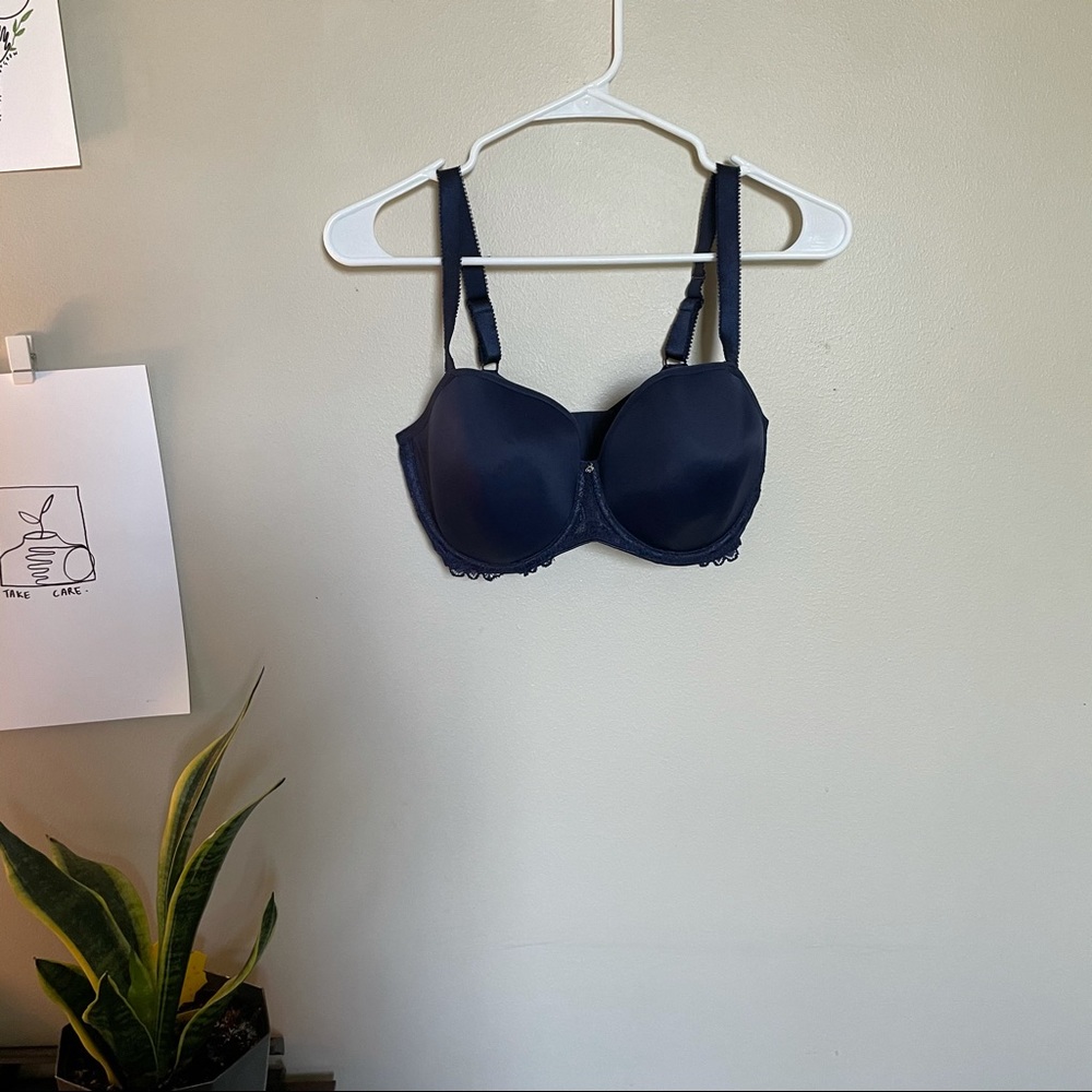 fantasie blue bra